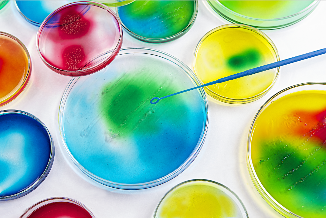 ABUIABAEGAAgg7SC7AUotJDZ-wMwsgg4zwU