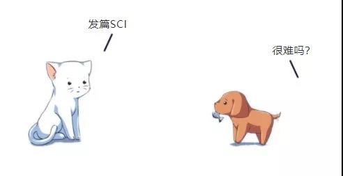 猫咪学术1.jpg