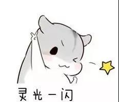 猫咪学术3.jpg